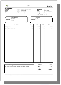 Professional Invoice Style 3